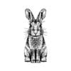 Silkscreen rabbit2
