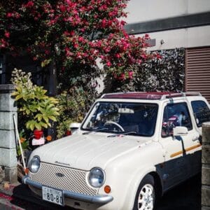 Car & Garden Featured Product