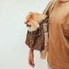 Dog Supplies Product