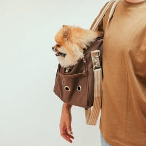 Dog Supplies Product
