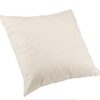 scatter cushion