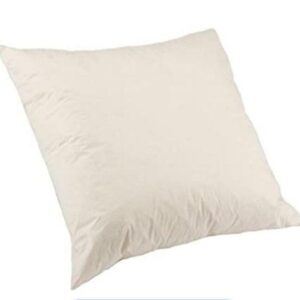 scatter cushion
