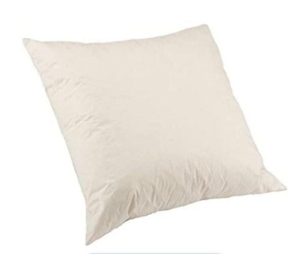 scatter cushion