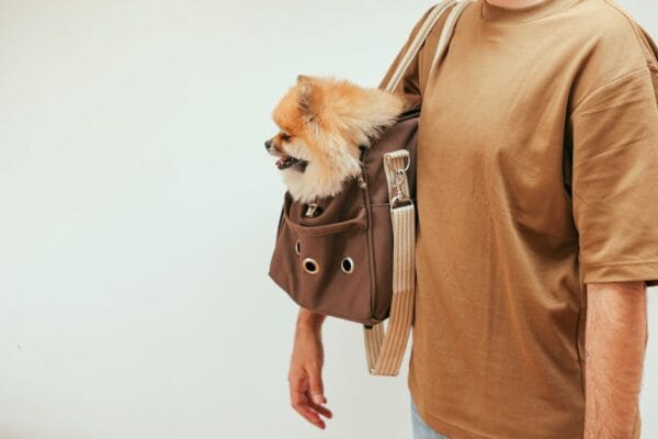 Dog Supplies Product
