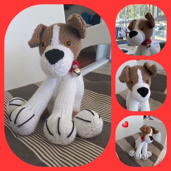 Jack Russel