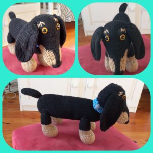 Dachshund