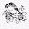 Birds on a branch