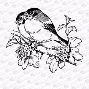 Birds on a branch