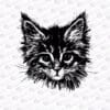Cute Kitten face