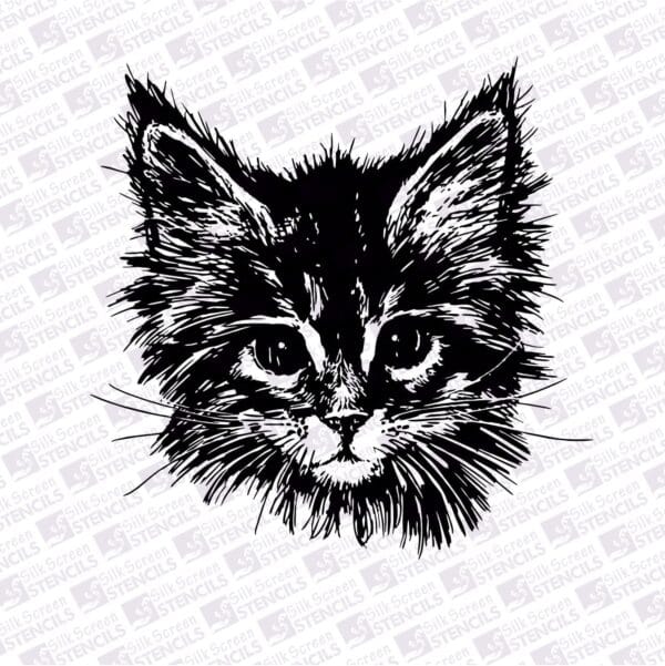 Cute Kitten face