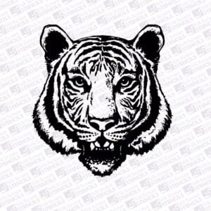 Tiger head