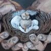 In His Hands