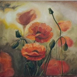 Poppies