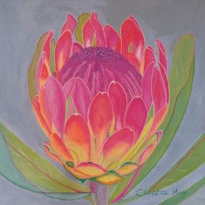 Christine Hugo oil painting Protea