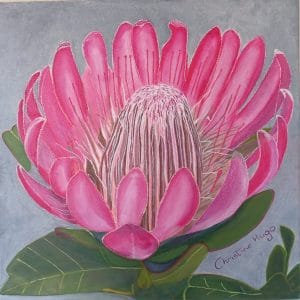Christine Hugo oil painting Protea