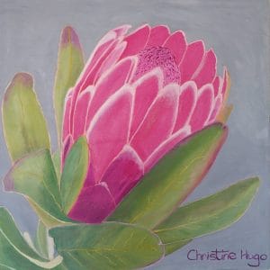 Christine Hugo oil painting Protea