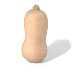 Butternut