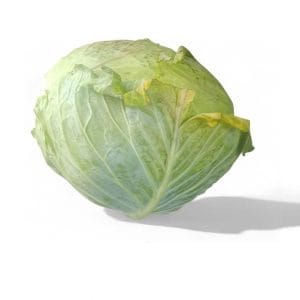 Cabbage White ±5kg