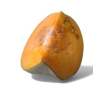 Pumpkin (¼ cut)