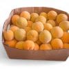 Peaches- yellow cling 7kg box