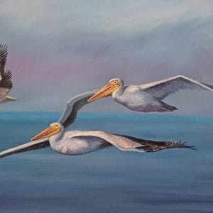Pelicans