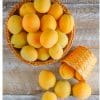 Apricots